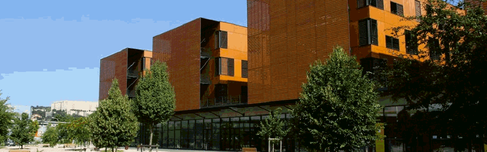 Institut des Assurances de Lyon